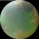 ./images/calvert/underwater/20260731/underwater20260731_073001M.jpg