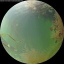 ./images/calvert/underwater/20260731/underwater20260731_073502M.jpg