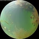 ./images/calvert/underwater/20260731/underwater20260731_074001M.jpg