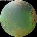 ./images/calvert/underwater/20260731/underwater20260731_075002M.jpg