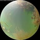 ./images/calvert/underwater/20260731/underwater20260731_080001M.jpg