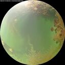 ./images/calvert/underwater/20260731/underwater20260731_085501M.jpg