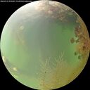 ./images/calvert/underwater/20260731/underwater20260731_091001M.jpg