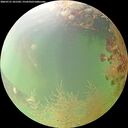 ./images/calvert/underwater/20260731/underwater20260731_101502M.jpg