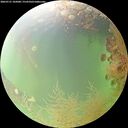 ./images/calvert/underwater/20260731/underwater20260731_102001M.jpg