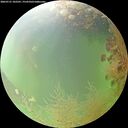 ./images/calvert/underwater/20260731/underwater20260731_102501M.jpg