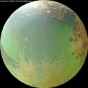 ./images/calvert/underwater/20260731/underwater20260731_110501M.jpg