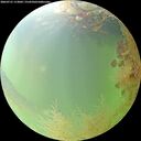 ./images/calvert/underwater/20260731/underwater20260731_113001M.jpg