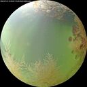 ./images/calvert/underwater/20260731/underwater20260731_114501M.jpg