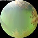 ./images/calvert/underwater/20260731/underwater20260731_115501M.jpg