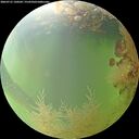 ./images/calvert/underwater/20260731/underwater20260731_120501M.jpg