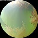 ./images/calvert/underwater/20260731/underwater20260731_121001M.jpg