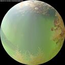 ./images/calvert/underwater/20260731/underwater20260731_121502M.jpg