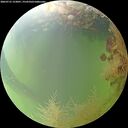 ./images/calvert/underwater/20260731/underwater20260731_123001M.jpg