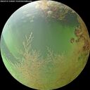 ./images/calvert/underwater/20260731/underwater20260731_124001M.jpg