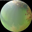 ./images/calvert/underwater/20260731/underwater20260731_124501M.jpg