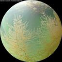 ./images/calvert/underwater/20260731/underwater20260731_130501M.jpg