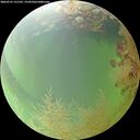 ./images/calvert/underwater/20260731/underwater20260731_131501M.jpg
