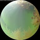 ./images/calvert/underwater/20260731/underwater20260731_132501M.jpg