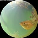 ./images/calvert/underwater/20260731/underwater20260731_134001M.jpg