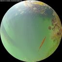 ./images/calvert/underwater/20260731/underwater20260731_135001M.jpg