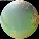 ./images/calvert/underwater/20260731/underwater20260731_140501M.jpg
