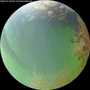 ./images/calvert/underwater/20260731/underwater20260731_143501M.jpg