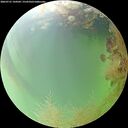 ./images/calvert/underwater/20260731/underwater20260731_144502M.jpg