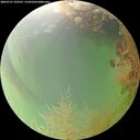 ./images/calvert/underwater/20260731/underwater20260731_145501M.jpg