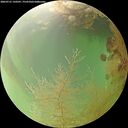 ./images/calvert/underwater/20260731/underwater20260731_150501M.jpg