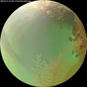 ./images/calvert/underwater/20260731/underwater20260731_151501M.jpg