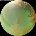 ./images/calvert/underwater/20260731/underwater20260731_153001M.jpg