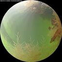 ./images/calvert/underwater/20260731/underwater20260731_164001M.jpg