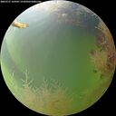 ./images/calvert/underwater/20260731/underwater20260731_164501M.jpg