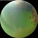 ./images/calvert/underwater/20260731/underwater20260731_171501M.jpg