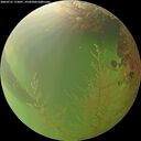 ./images/calvert/underwater/20260731/underwater20260731_173001M.jpg