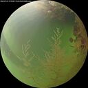 ./images/calvert/underwater/20260731/underwater20260731_173501M.jpg