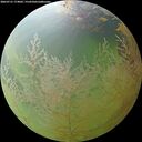 ./images/calvert/underwater/20260731/underwater20260731_174001M.jpg