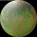 ./images/calvert/underwater/20260731/underwater20260731_174501M.jpg