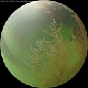 ./images/calvert/underwater/20260731/underwater20260731_175002M.jpg