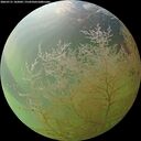./images/calvert/underwater/20260731/underwater20260731_182001M.jpg