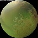 ./images/calvert/underwater/20260731/underwater20260731_182502M.jpg