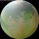 ./images/calvert/underwater/20260731/underwater20260731_184001M.jpg