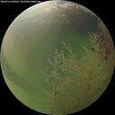 ./images/calvert/underwater/20260731/underwater20260731_185001M.jpg