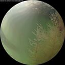 ./images/calvert/underwater/20260731/underwater20260731_185501M.jpg