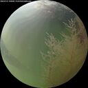 ./images/calvert/underwater/20260731/underwater20260731_190001M.jpg