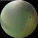 ./images/calvert/underwater/20260731/underwater20260731_191001M.jpg
