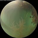 ./images/calvert/underwater/20260731/underwater20260731_194002M.jpg