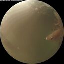 ./images/calvert/underwater/20260801/underwater20260801_065001M.jpg