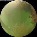 ./images/calvert/underwater/20260801/underwater20260801_072001M.jpg